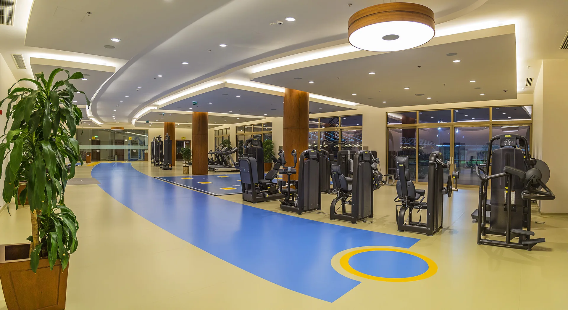 Built for controlled performance work at Gloria Sports Arena
