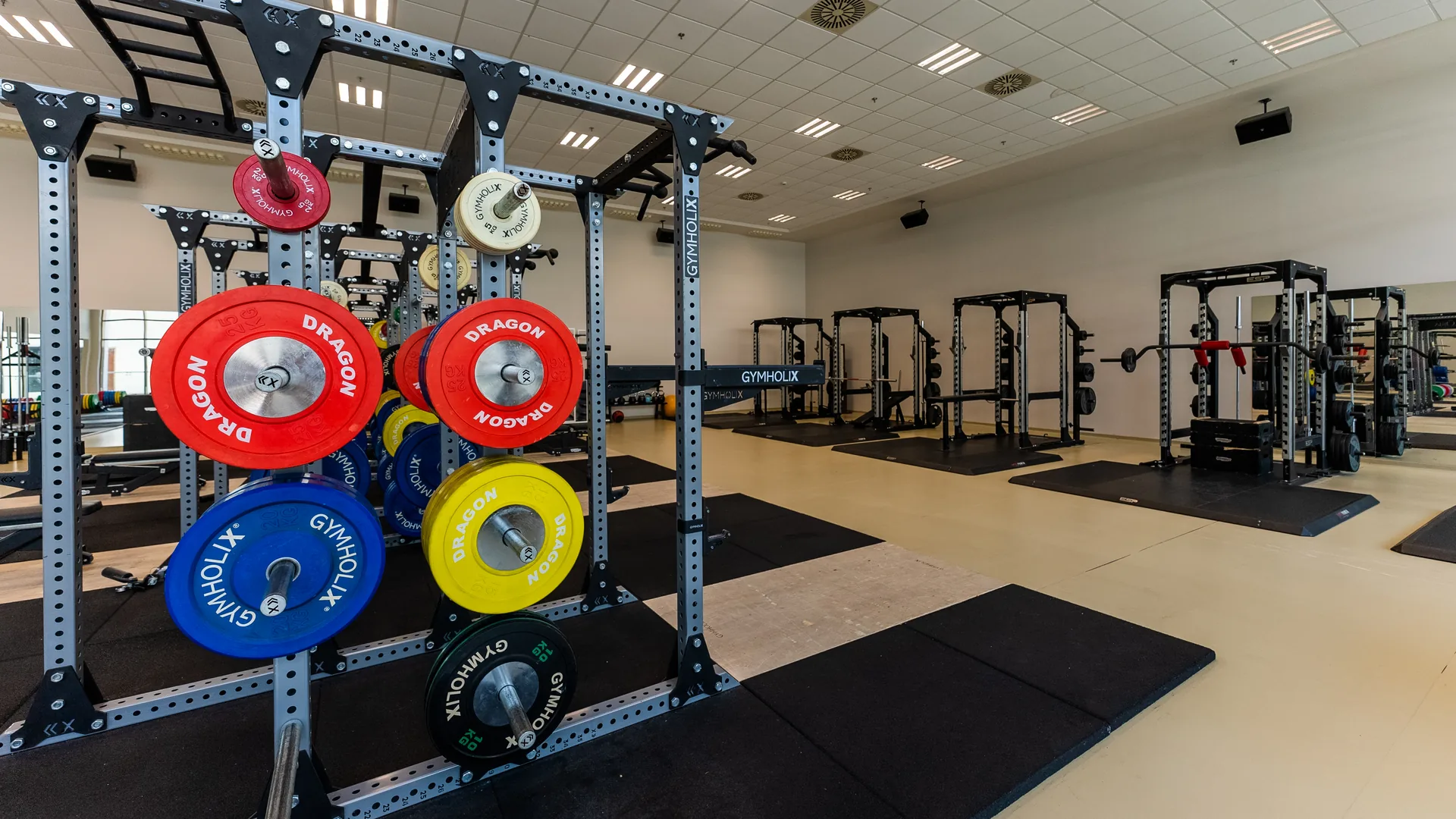 Built for controlled performance work at Gloria Sports Arena